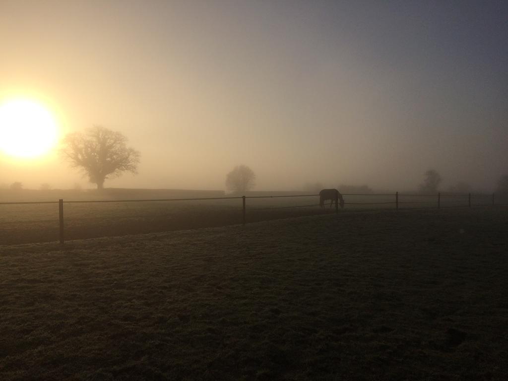 Great Ashley Farm Bed And Breakfast & Shepherds Huts Bradford-On-Avon Dış mekan fotoğraf