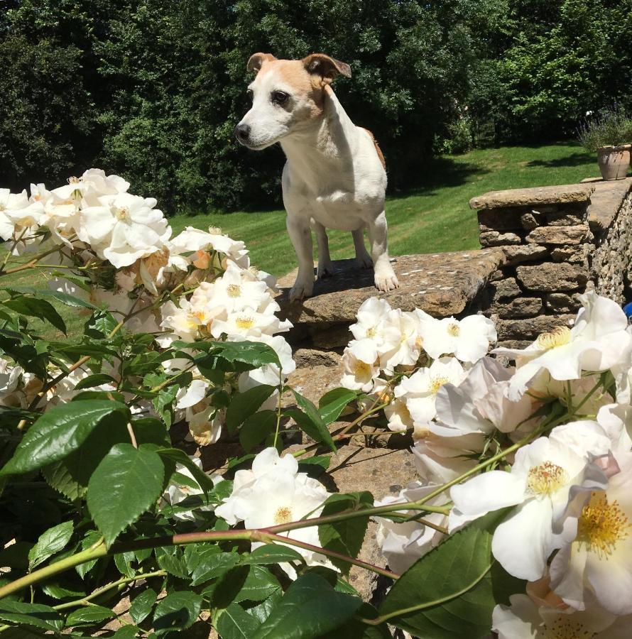 Great Ashley Farm Bed And Breakfast & Shepherds Huts Bradford-On-Avon Dış mekan fotoğraf